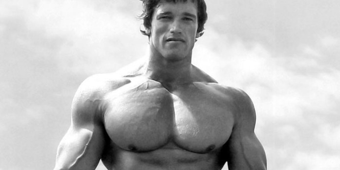 testosterona