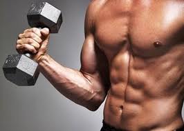 crecimiento muscular