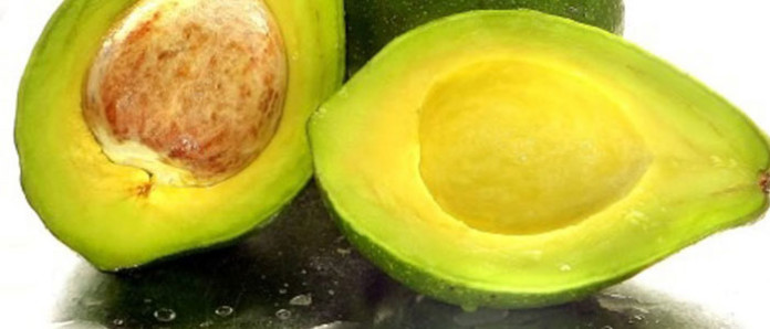 aguacate