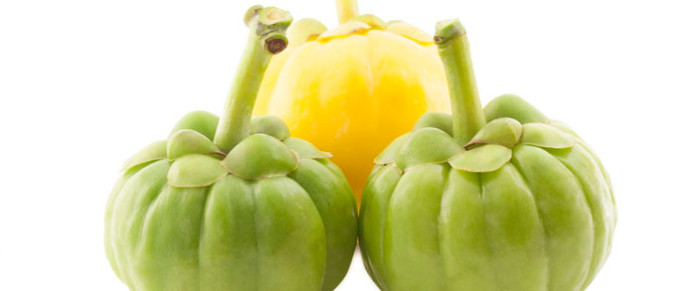 garcinia-cambogia