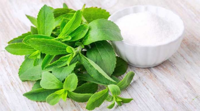 stevia-y-azucar-en-sangre