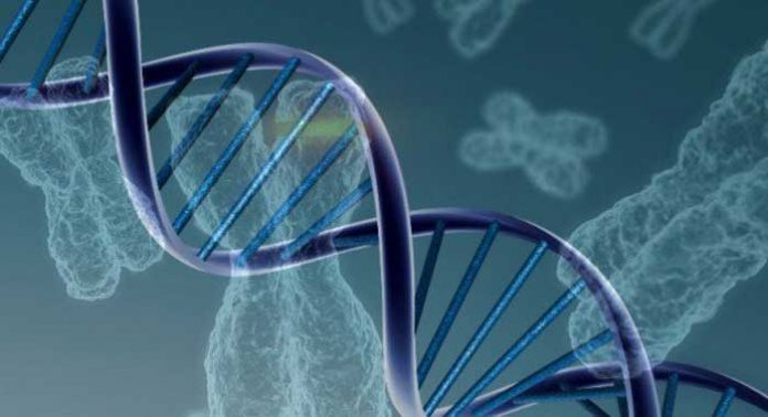 alzheimer-y-antecedentes-familiares