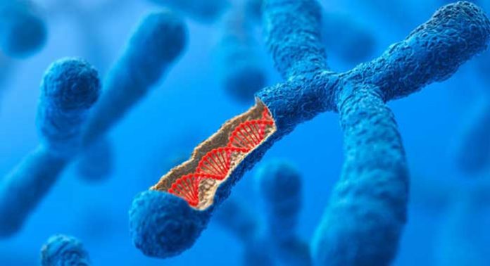 sindrome-X-fragil-y-metformina
