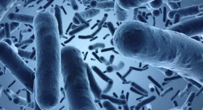 bacterias-y-el-cancer-colorrectal