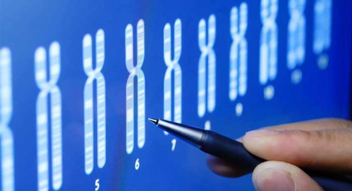 genes-de-riesgo-en-alzheimer