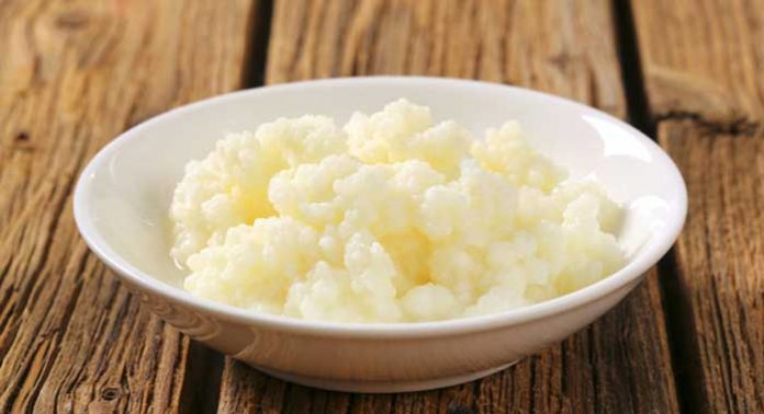 kefir